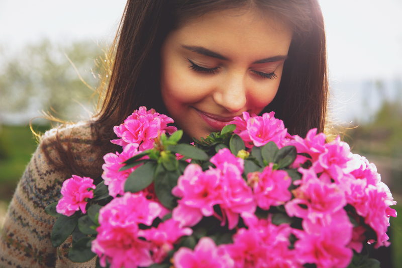 flowers roses